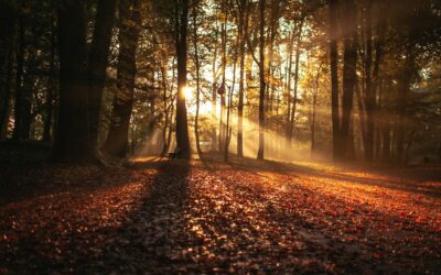 Comença una nova edició de la Formació Bàsica d’Acompanyament en el Dol i les Pèrdues